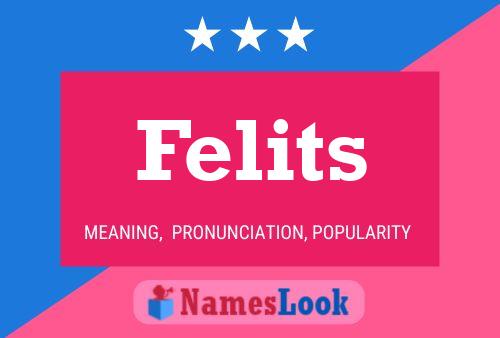 Poster del nome Felits