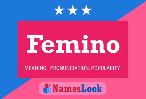 Poster del nome Femino