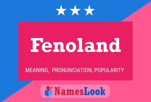 Poster del nome Fenoland