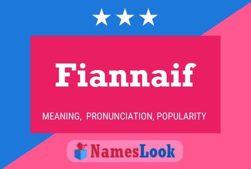 Poster del nome Fiannaif