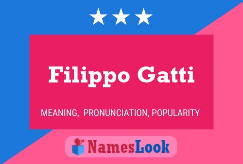 Poster del nome Filippo Gatti