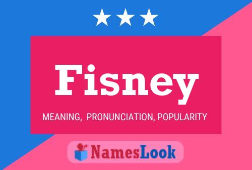 Poster del nome Fisney