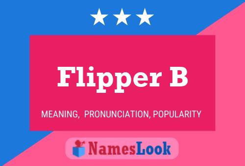 Poster del nome Flipper B