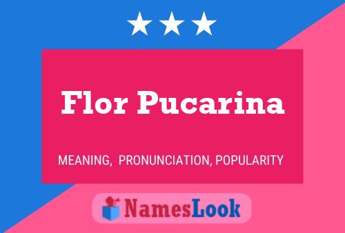 Poster del nome Flor Pucarina