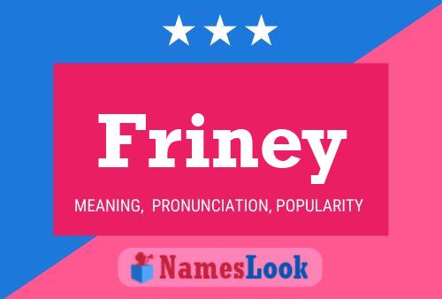 Poster del nome Friney