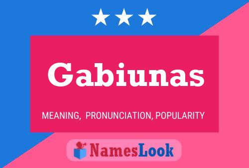 Poster del nome Gabiunas