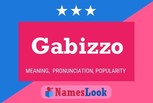 Poster del nome Gabizzo