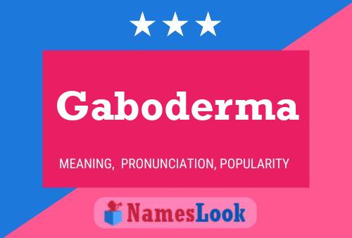 Poster del nome Gaboderma