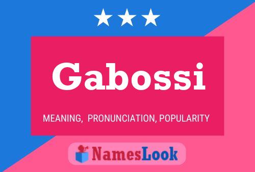 Poster del nome Gabossi