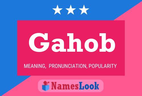 Poster del nome Gahob