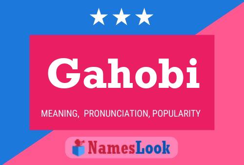 Poster del nome Gahobi