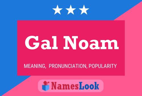 Poster del nome Gal Noam