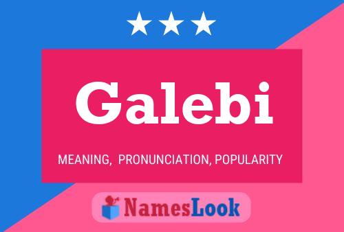 Poster del nome Galebi