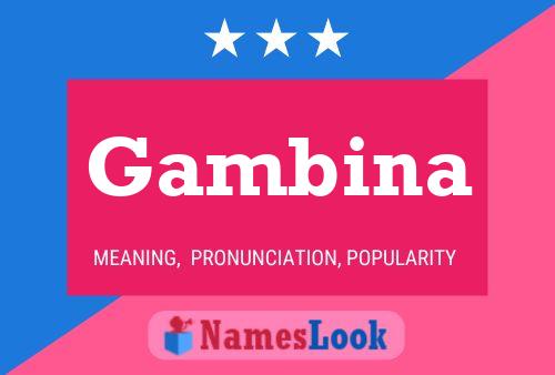 Poster del nome Gambina