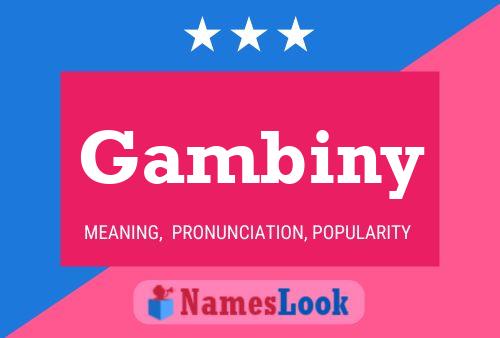 Poster del nome Gambiny