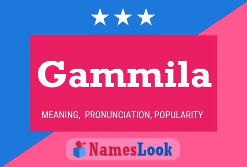 Poster del nome Gammila