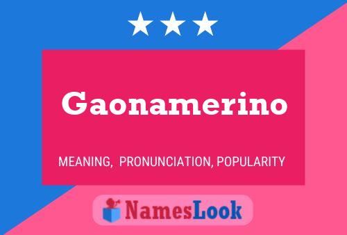 Poster del nome Gaonamerino