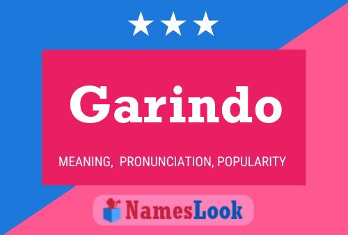 Poster del nome Garindo