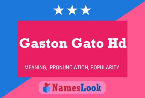 Poster del nome Gaston Gato Hd