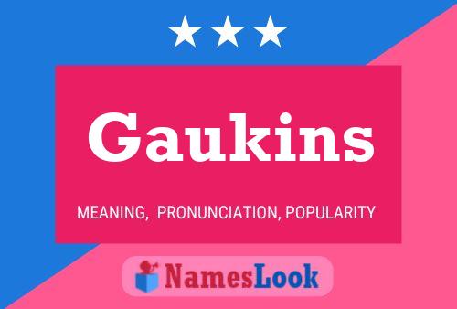 Poster del nome Gaukins