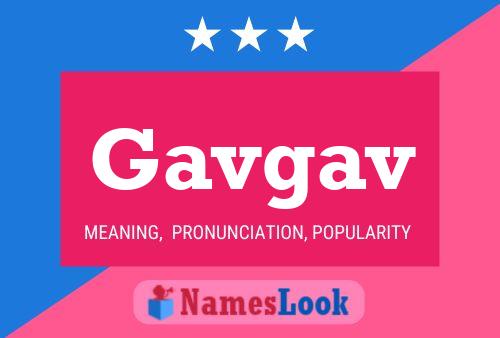 Poster del nome Gavgav