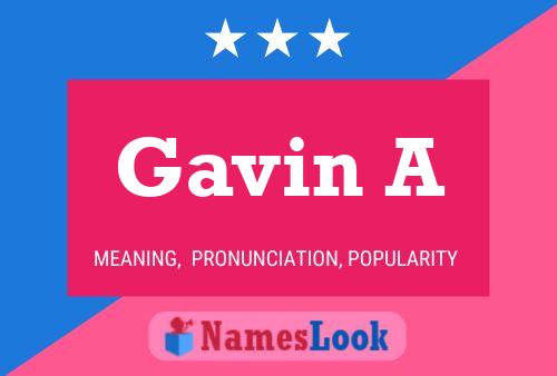 Poster del nome Gavin A