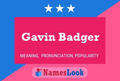 Poster del nome Gavin Badger