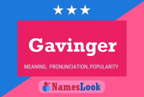 Poster del nome Gavinger