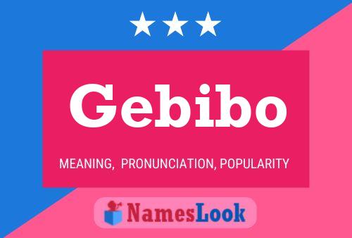 Poster del nome Gebibo