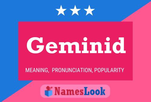 Poster del nome Geminid