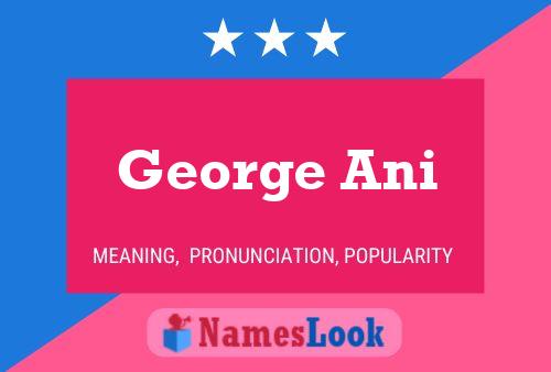 Poster del nome George Ani