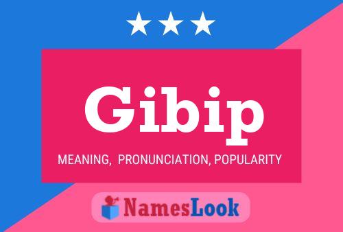 Poster del nome Gibip