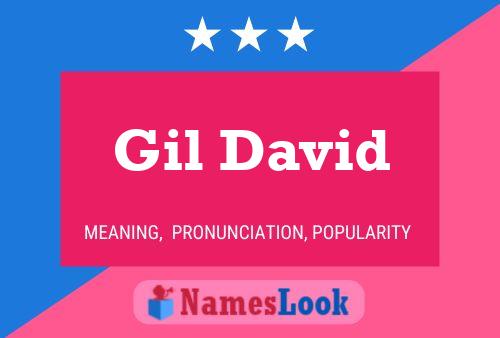 Poster del nome Gil David