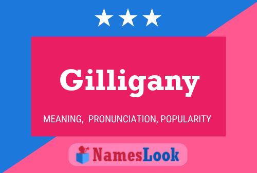 Poster del nome Gilligany