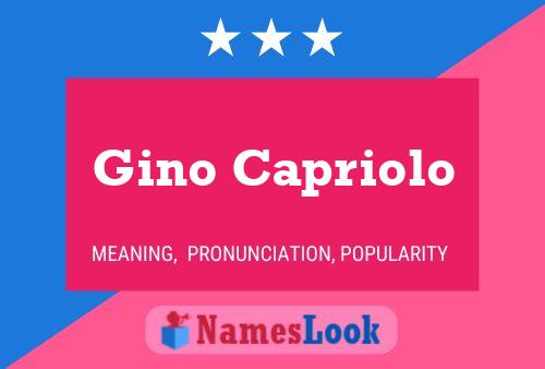 Poster del nome Gino Capriolo