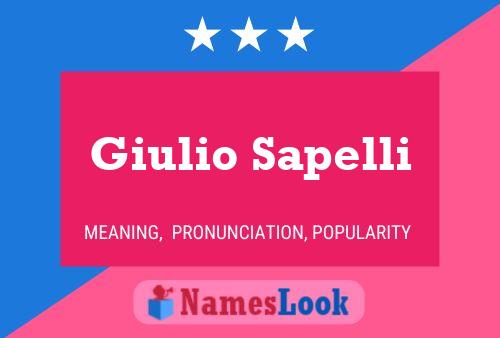 Poster del nome Giulio Sapelli