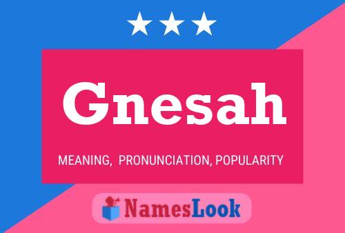 Poster del nome Gnesah