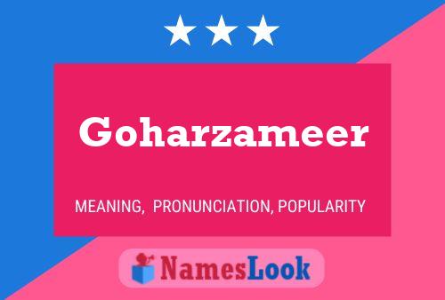 Poster del nome Goharzameer