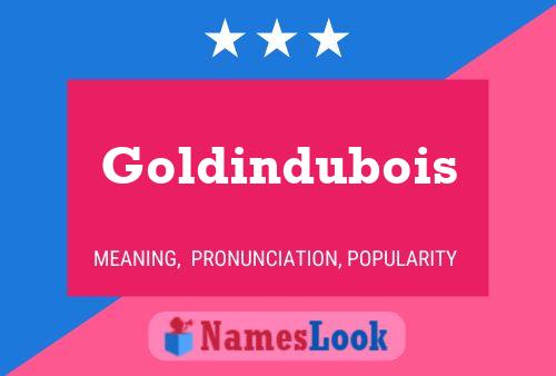 Poster del nome Goldindubois