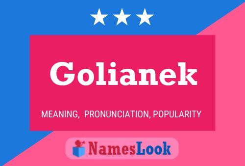 Poster del nome Golianek