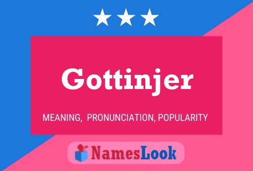 Poster del nome Gottinjer