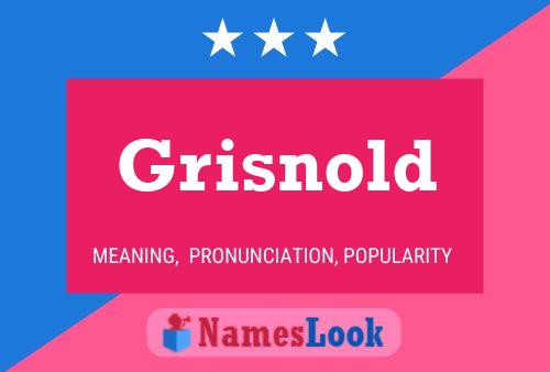 Poster del nome Grisnold