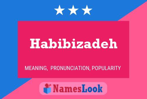 Poster del nome Habibizadeh