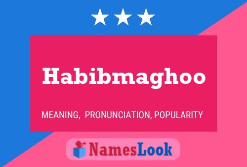 Poster del nome Habibmaghoo