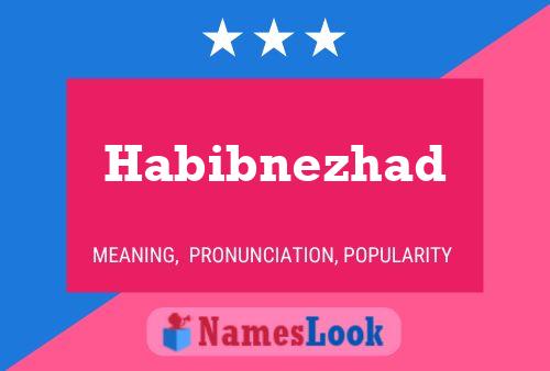 Poster del nome Habibnezhad