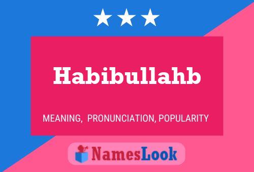 Poster del nome Habibullahb