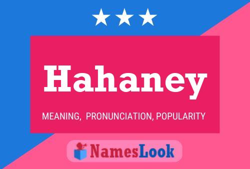 Poster del nome Hahaney