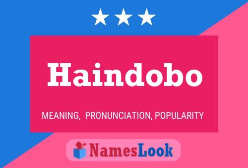 Poster del nome Haindobo