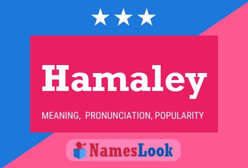 Poster del nome Hamaley