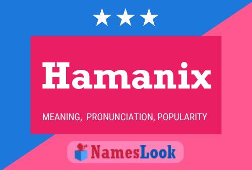 Poster del nome Hamanix